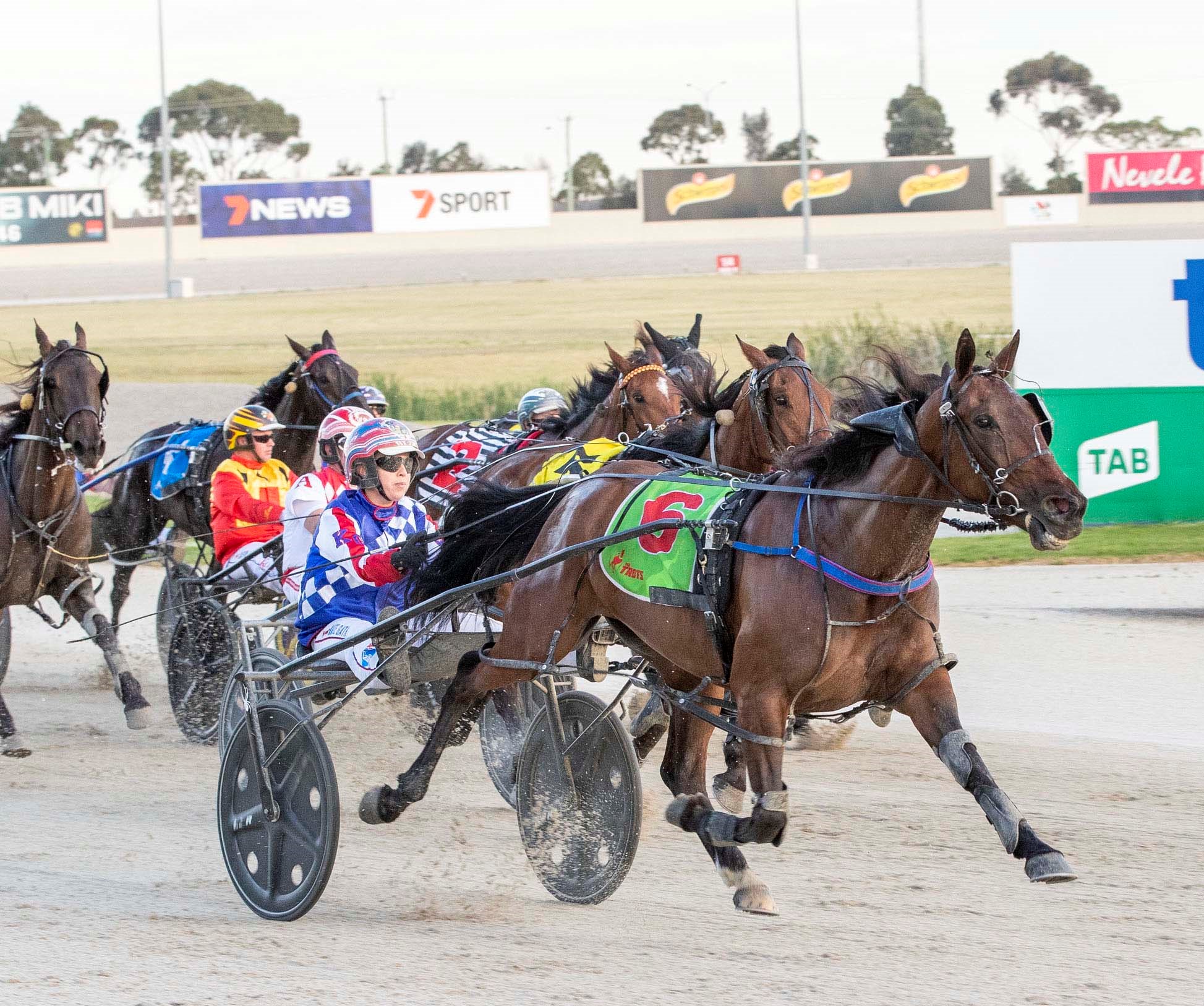 Breeders Crown Barriers drawn as we count down to finals Harness Racing Victoria